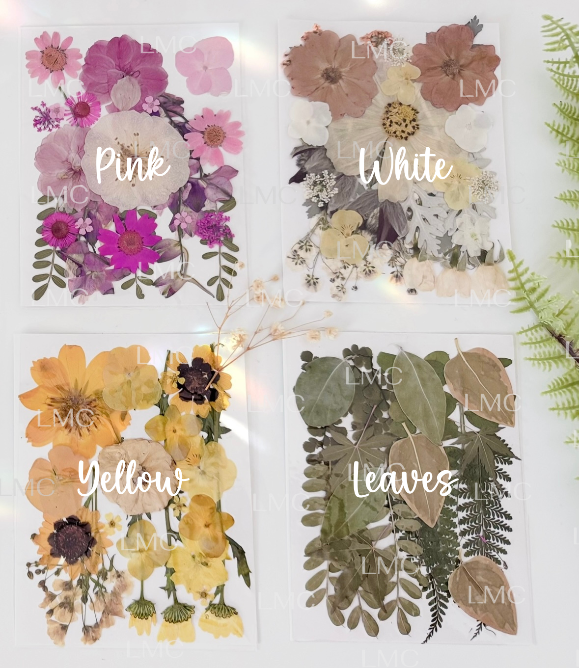 Pressed Flower Picture Frame