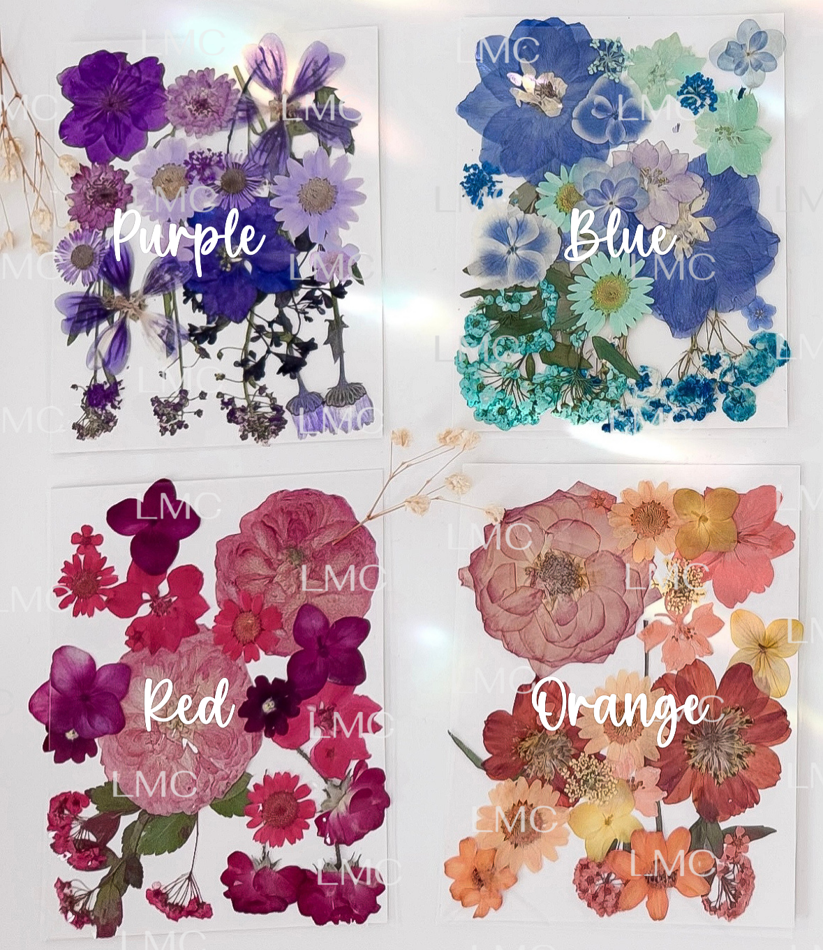 Pressed Flower Picture Frame